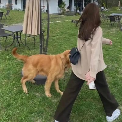 伍六七之最强发型师