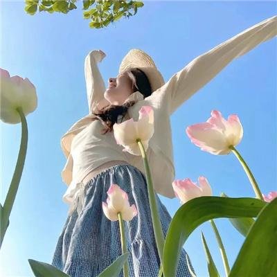玉腿花拳